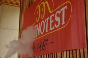 1- festival makaronflajša in tife 2019 - 11.5 (32)